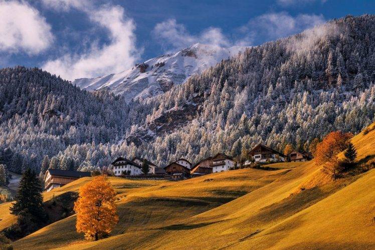nature, Landscape, Mountains, Forest, Snowy Peak, Fall, Village, Dry Grass, Morning, Sunlight, Trees, Alps, Italy HD Wallpaper Desktop Background