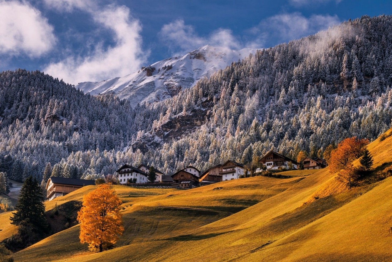 nature, Landscape, Mountains, Forest, Snowy Peak, Fall, Village, Dry Grass, Morning, Sunlight, Trees, Alps, Italy Wallpaper