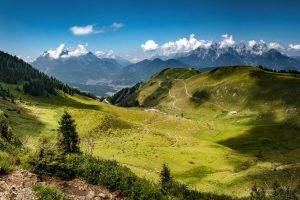 nature, Landscape, Mountains, Forest, Grass, Hiking, Alps, Summer, Austria