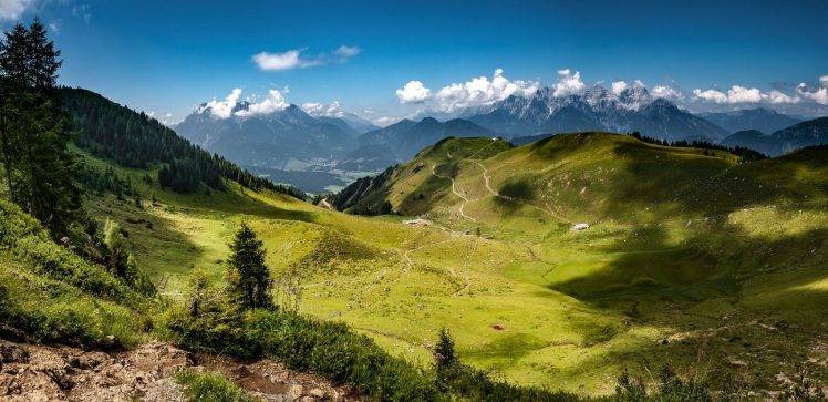nature, Landscape, Mountains, Forest, Grass, Hiking, Alps, Summer, Austria  Wallpapers HD / Desktop and Mobile Backgrounds