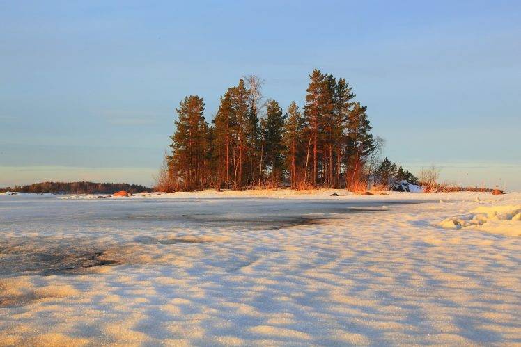 winter, Landscape, Trees HD Wallpaper Desktop Background