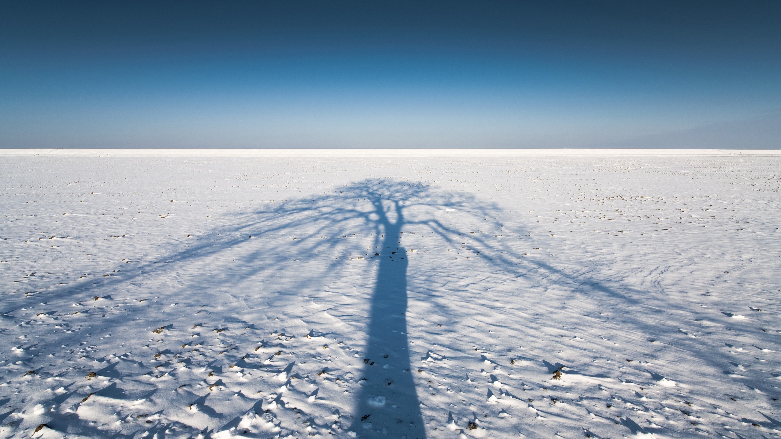 shadow, Snow, Winter, Landscape, Nature Wallpaper