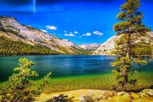 nature, Landscape, Lake, Mountains, Forest, Summer, Trees, Blue, Sky, Yosemite National Park, California
