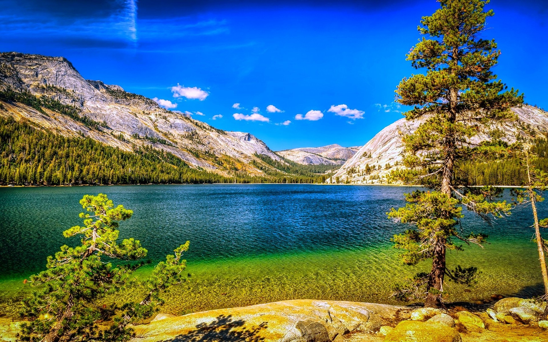    348605 Nature Landscape Lake Mountains Forest Summer Trees Blue Sky Yosemite National Park California 