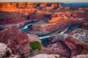 nature, Landscape, Erosion, Canyon, Sunrise, River, Shrubs, National Park, Utah
