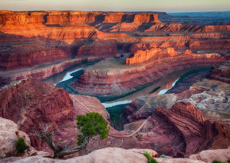 nature, Landscape, Erosion, Canyon, Sunrise, River, Shrubs, National Park, Utah HD Wallpaper Desktop Background