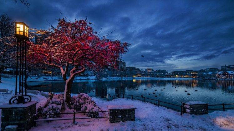 nature, Trees, City, Cityscape, Norway, Evening, Winter, Snow, Lights, Water, Lake, Clouds, Branch, House, Reflection, Birds, Building, Lamp HD Wallpaper Desktop Background