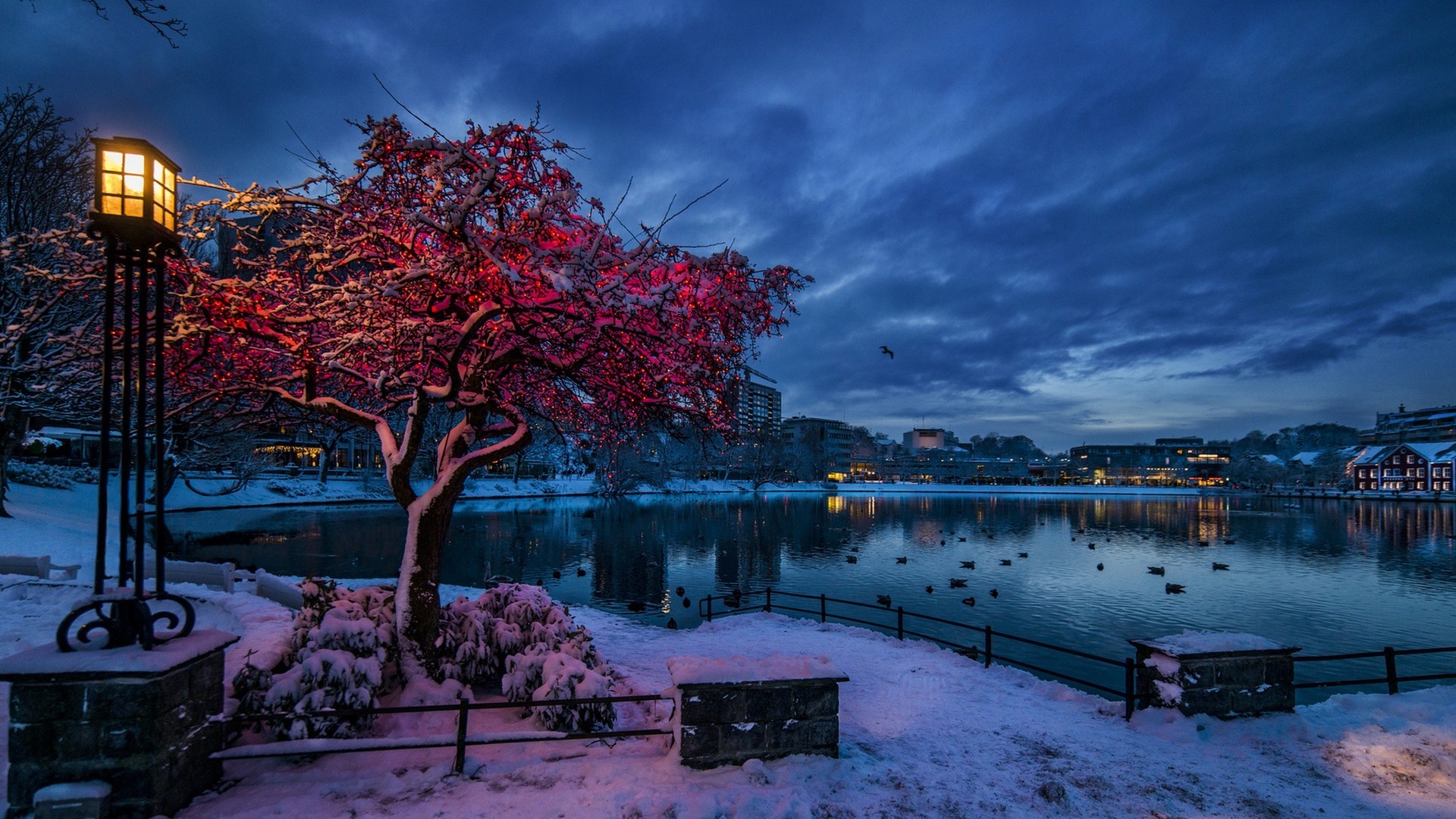 nature, Trees, City, Cityscape, Norway, Evening, Winter, Snow, Lights, Water, Lake, Clouds, Branch, House, Reflection, Birds, Building, Lamp Wallpaper