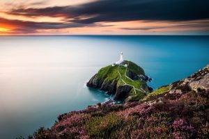 landscape, Wales, Lighthouse, Flowers, Coast, Sea, UK
