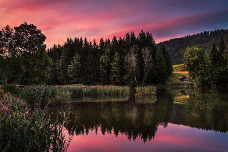 pine Trees, Landscape, Lake HD Wallpaper Desktop Background