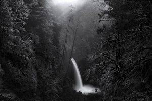 nature, Landscape, Waterfall, Morning, Sunlight, Forest, Mist, Canyon, Monochrome, Trees, Oregon