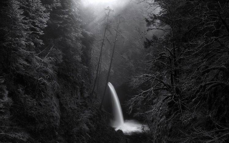 nature, Landscape, Waterfall, Morning, Sunlight, Forest, Mist, Canyon, Monochrome, Trees, Oregon HD Wallpaper Desktop Background