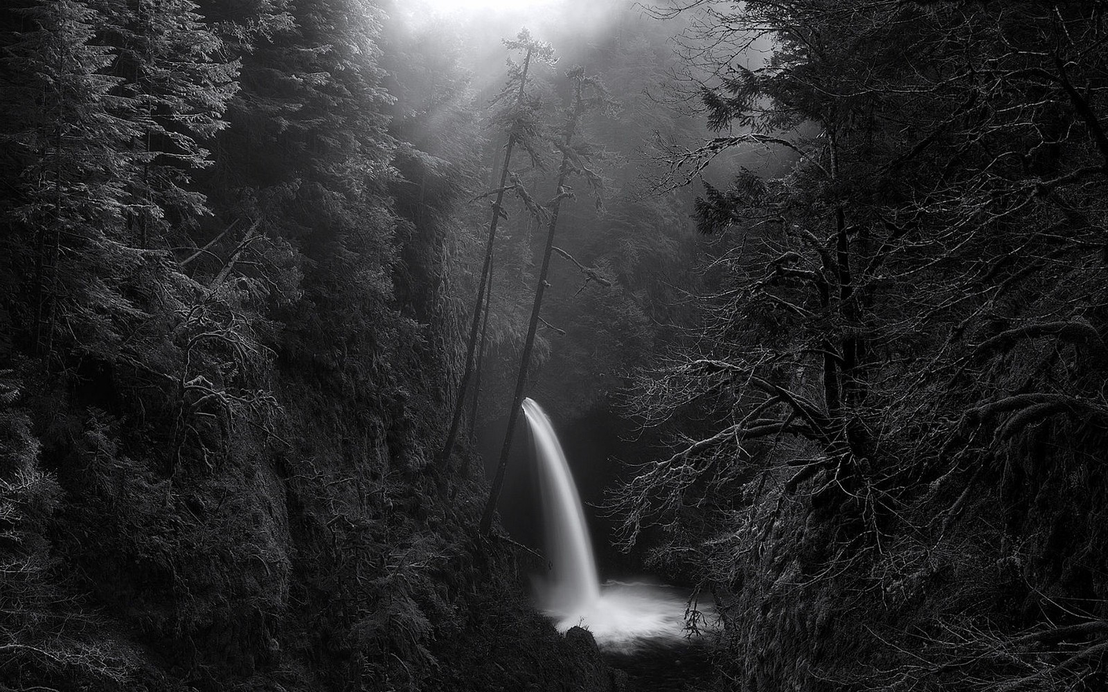 nature, Landscape, Waterfall, Morning, Sunlight, Forest, Mist, Canyon, Monochrome, Trees, Oregon Wallpaper