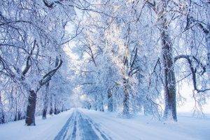 nature, Landscape, Cold, Morning, Road, Winter, Snow, Sunlight, White