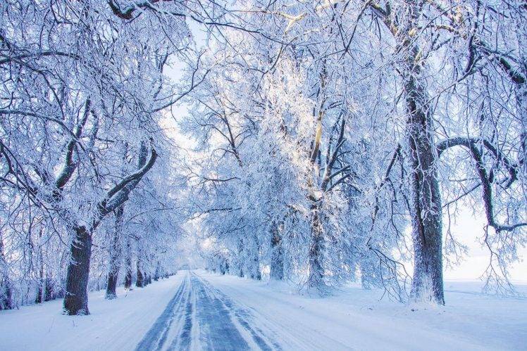 nature, Landscape, Cold, Morning, Road, Winter, Snow, Sunlight, White HD Wallpaper Desktop Background
