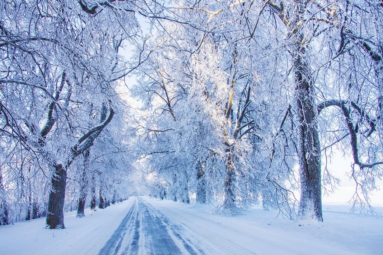 nature, Landscape, Cold, Morning, Road, Winter, Snow, Sunlight, White Wallpaper