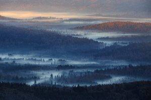 nature, Landscape, Mist, Sunrise, Forest, Hills, Sunlight, Blue, Germany