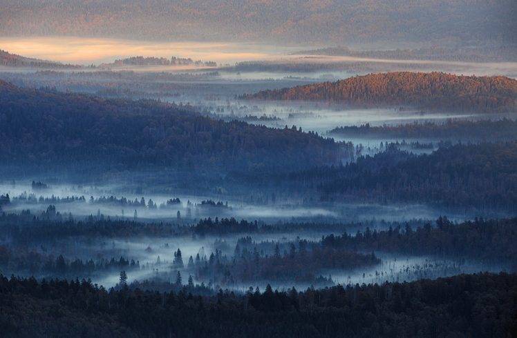nature, Landscape, Mist, Sunrise, Forest, Hills, Sunlight, Blue, Germany HD Wallpaper Desktop Background