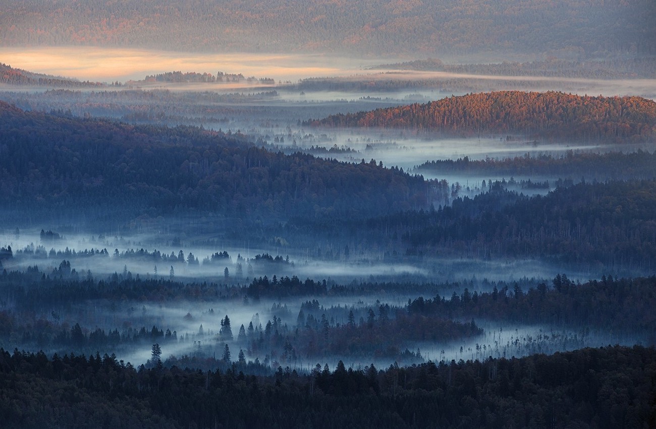 nature, Landscape, Mist, Sunrise, Forest, Hills, Sunlight, Blue, Germany Wallpaper