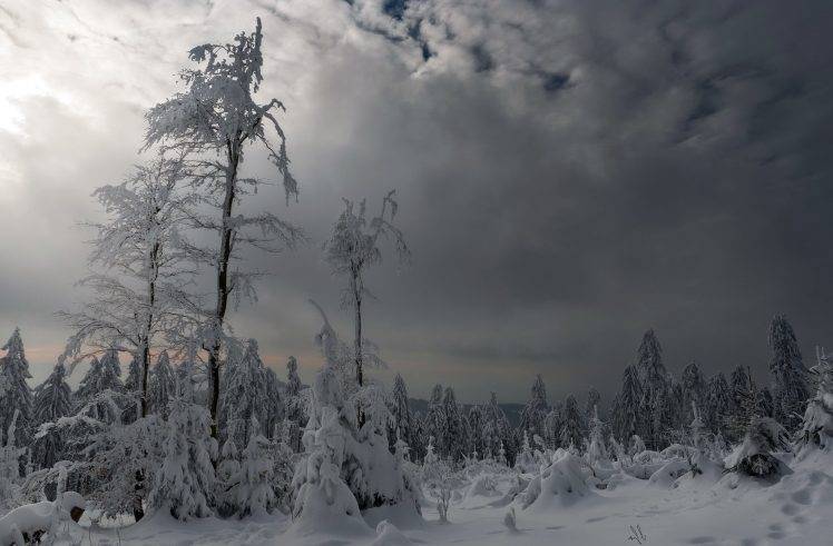 snow, Winter, Landscape, Nature HD Wallpaper Desktop Background
