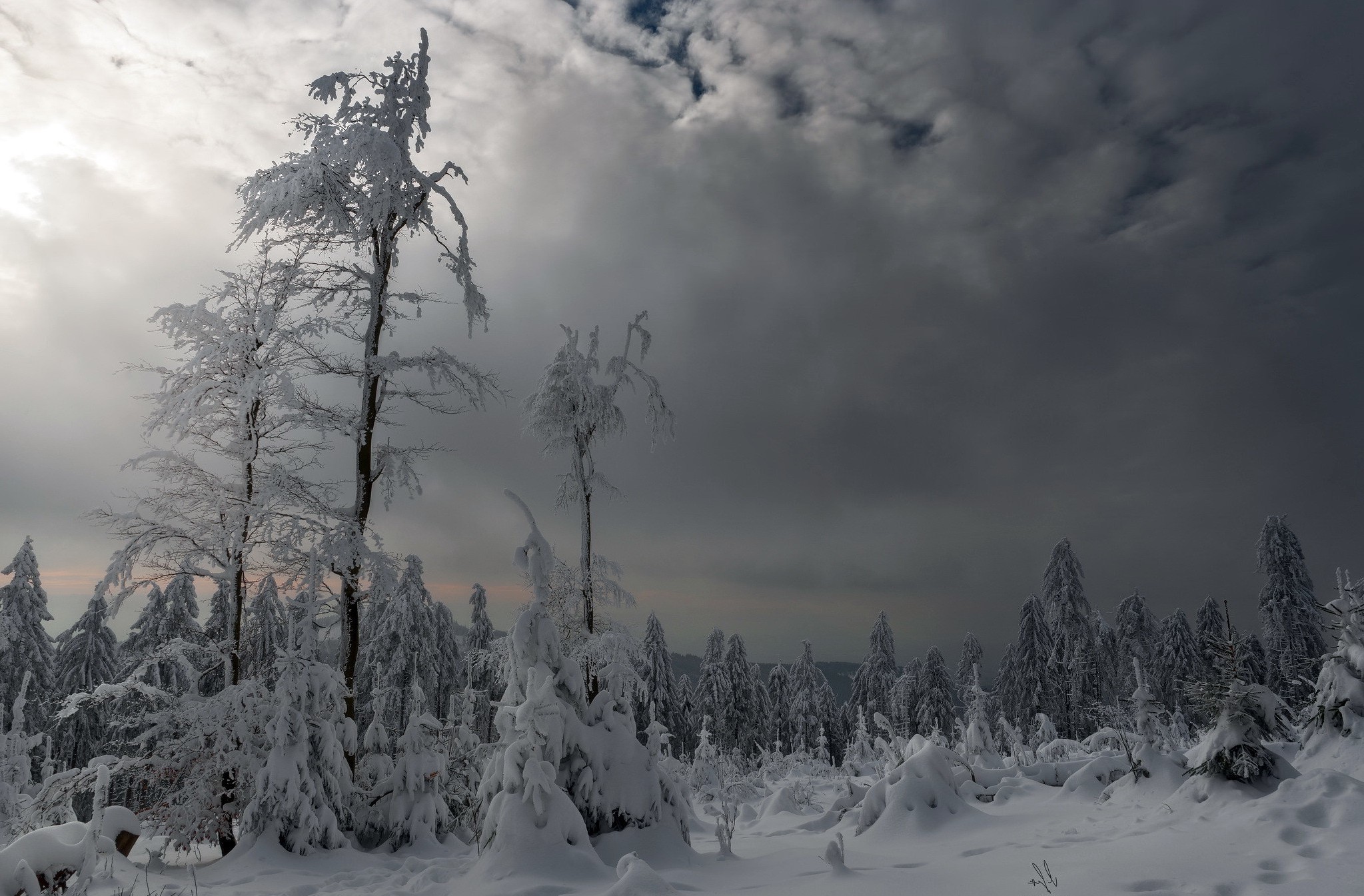 snow, Winter, Landscape, Nature Wallpaper