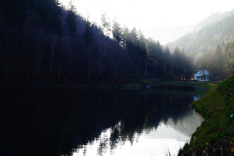 landscape, Forest, Lake, Mist, Sun HD Wallpaper Desktop Background