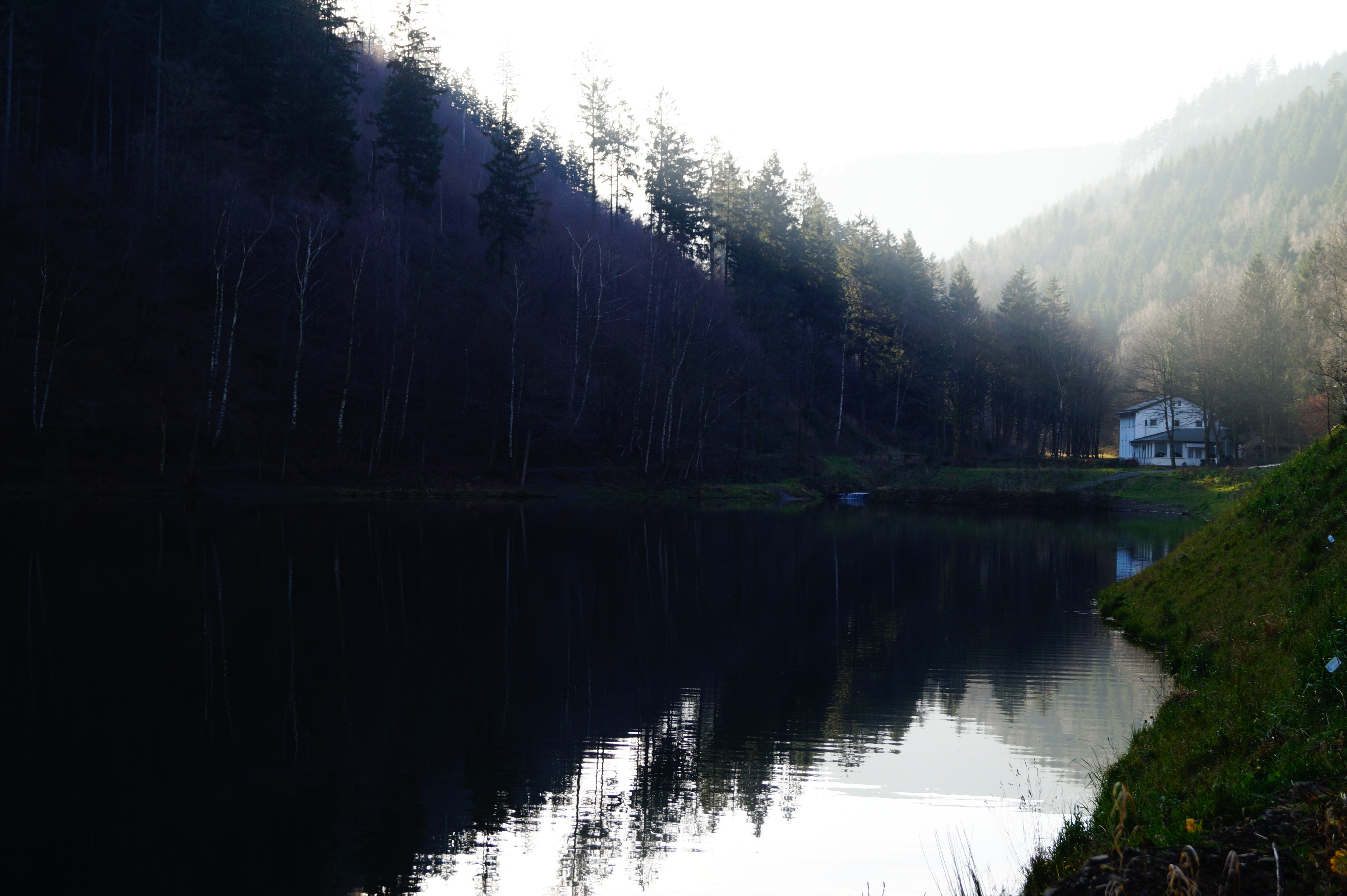 landscape, Forest, Lake, Mist, Sun Wallpaper