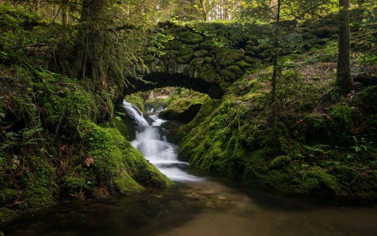 river, Nature, Forest HD Wallpaper Desktop Background