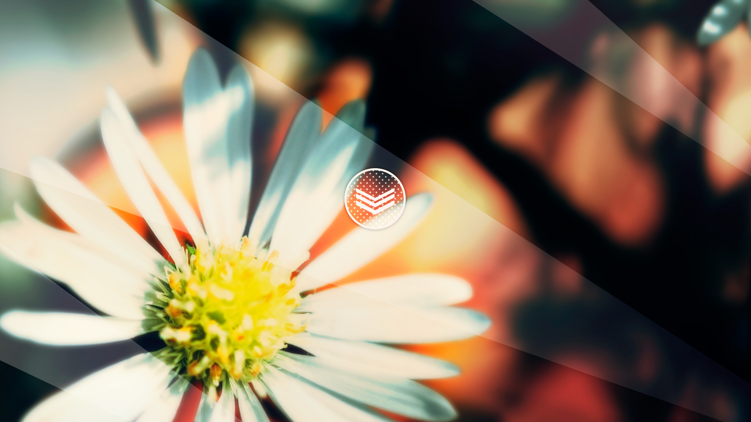 nature, Photoshopped Wallpaper