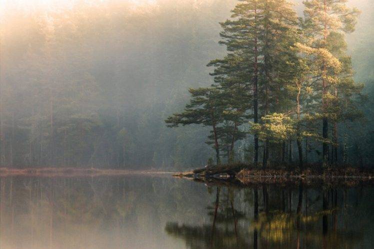 landscape, Nature, Mist, Lake, Forest, Sunrise, Trees, Reflection, Sunlight HD Wallpaper Desktop Background
