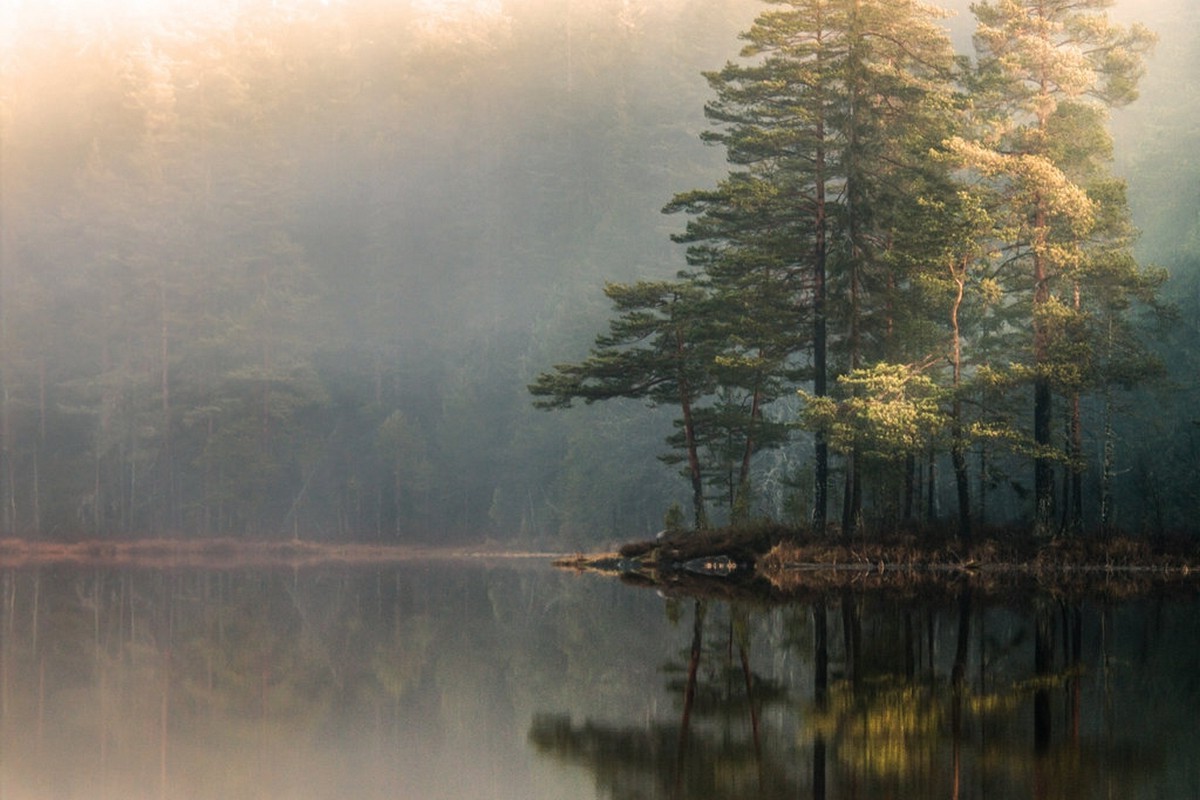 landscape, Nature, Mist, Lake, Forest, Sunrise, Trees, Reflection, Sunlight Wallpaper