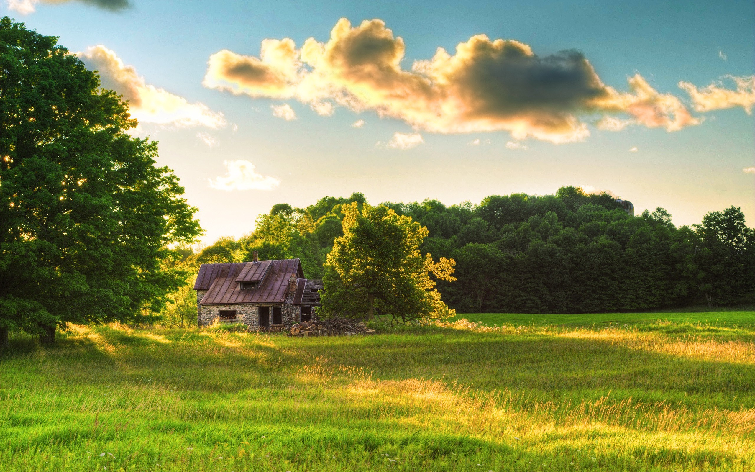 nature, Clouds, Grass, Cabin, Trees Wallpaper