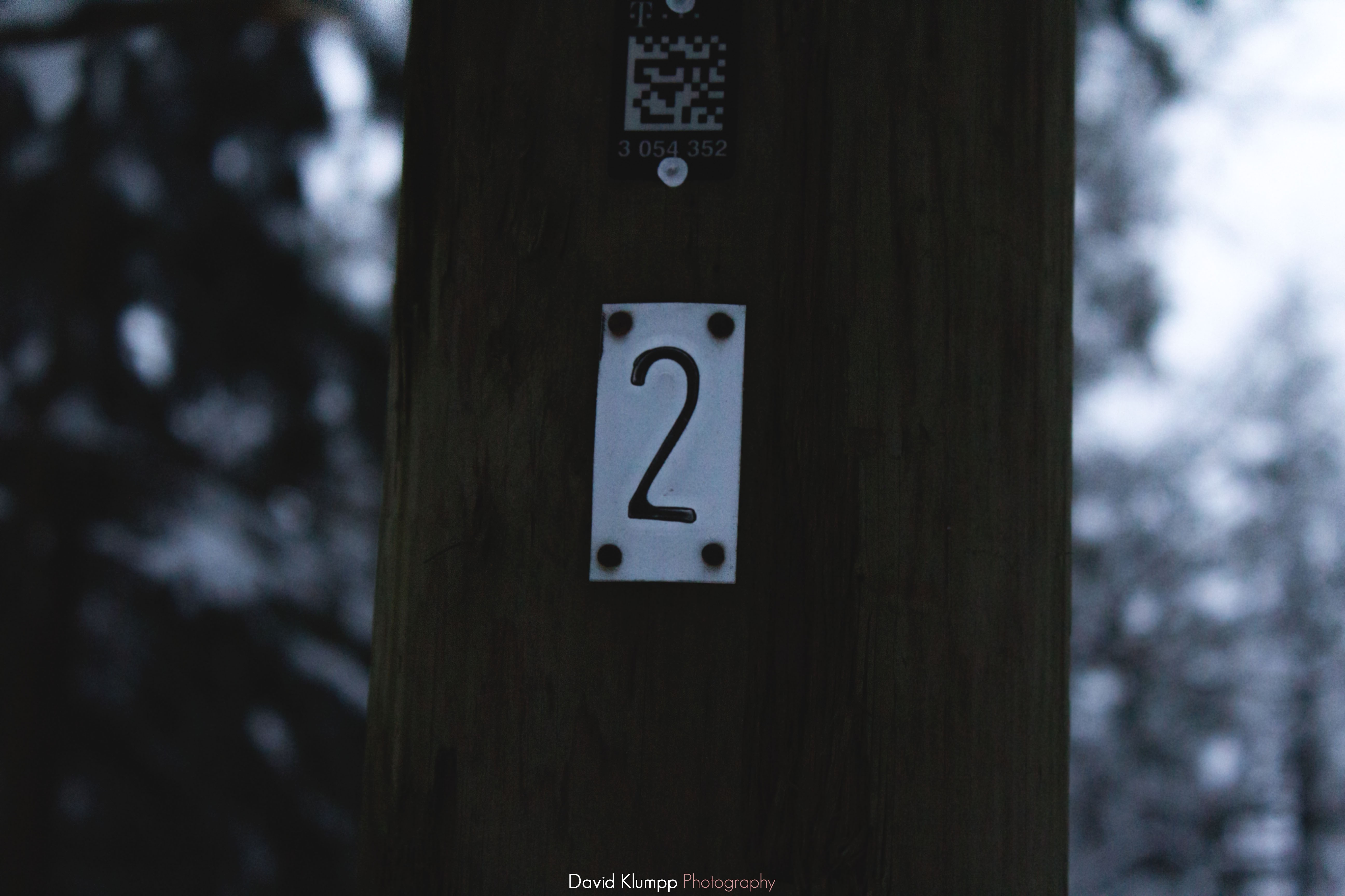 trees, Nature, Canon, Bokeh, Cold Wallpaper