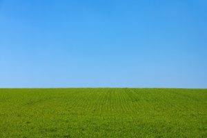 blue, Field, Grass, Green, Landscape, Lawns, Nature, Park, Plants, Sky