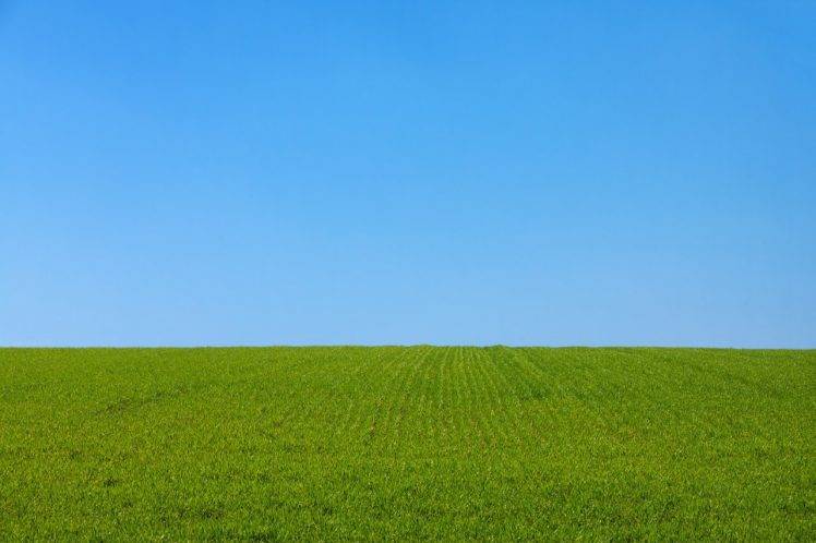 blue, Field, Grass, Green, Landscape, Lawns, Nature, Park, Plants, Sky HD Wallpaper Desktop Background