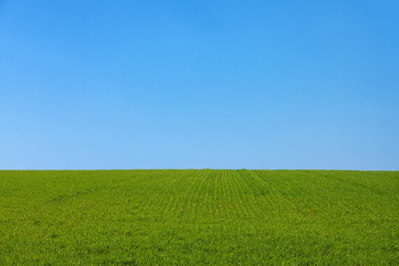 blue, Field, Grass, Green, Landscape, Lawns, Nature, Park, Plants, Sky Wallpaper