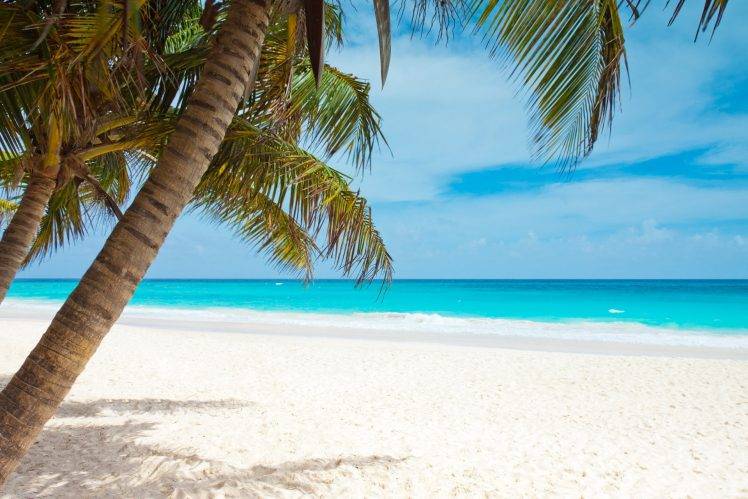 beach, Blue, Coast, Palm Trees, Landscape, Caribbean, Sea, Sky, Watering HD Wallpaper Desktop Background