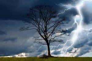 trees, Storm, Sky, Lightning, Rain, Nature, Dangerous, Wind, Wet, Elements, Landscape