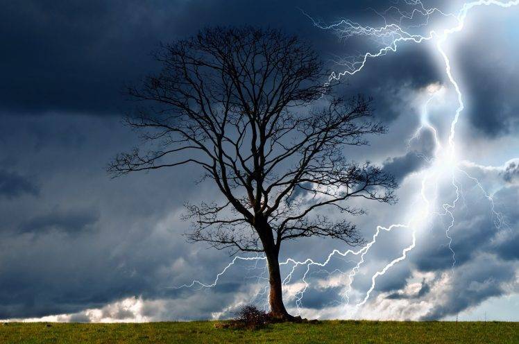 trees, Storm, Sky, Lightning, Rain, Nature, Dangerous, Wind, Wet, Elements, Landscape HD Wallpaper Desktop Background