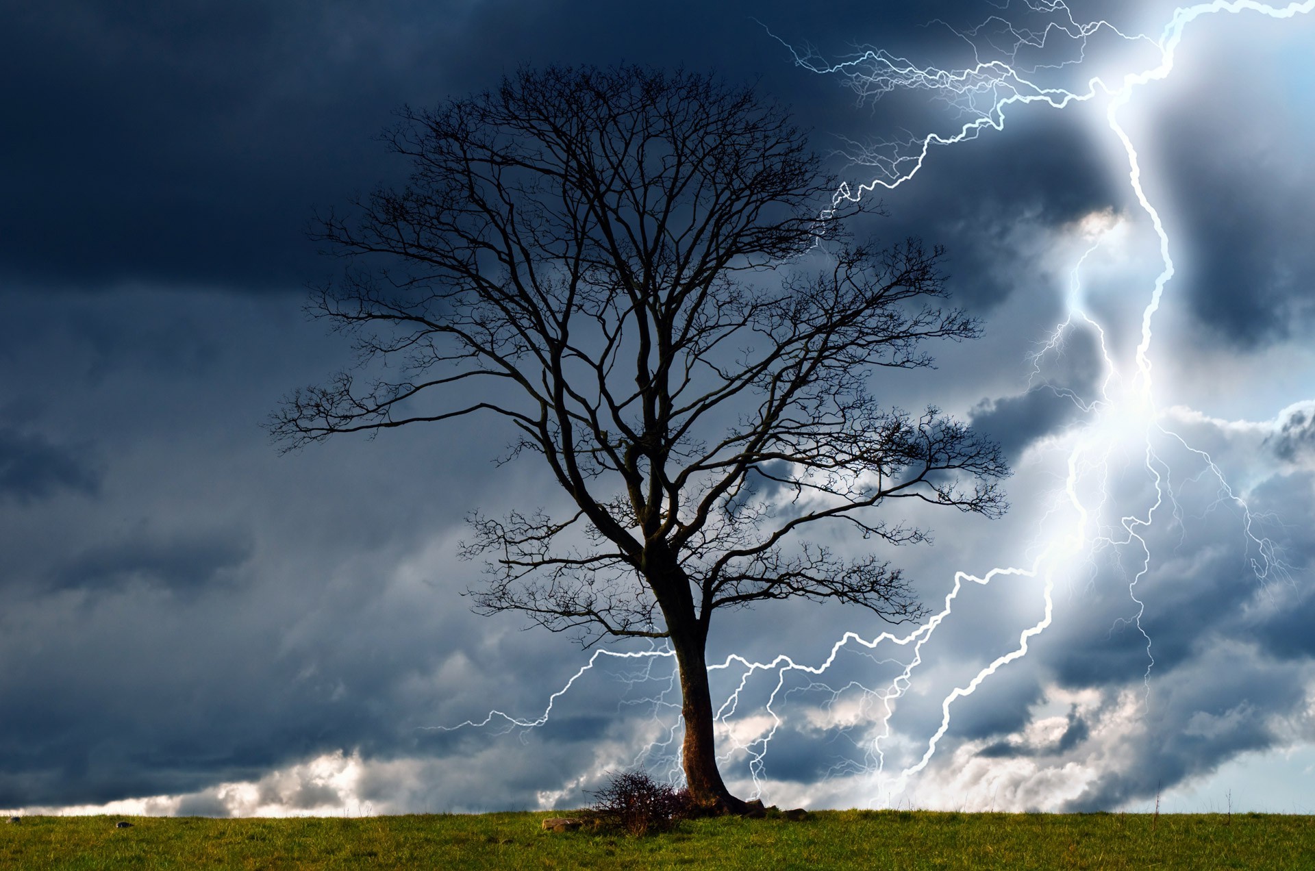trees, Storm, Sky, Lightning, Rain, Nature, Dangerous, Wind, Wet, Elements, Landscape Wallpaper