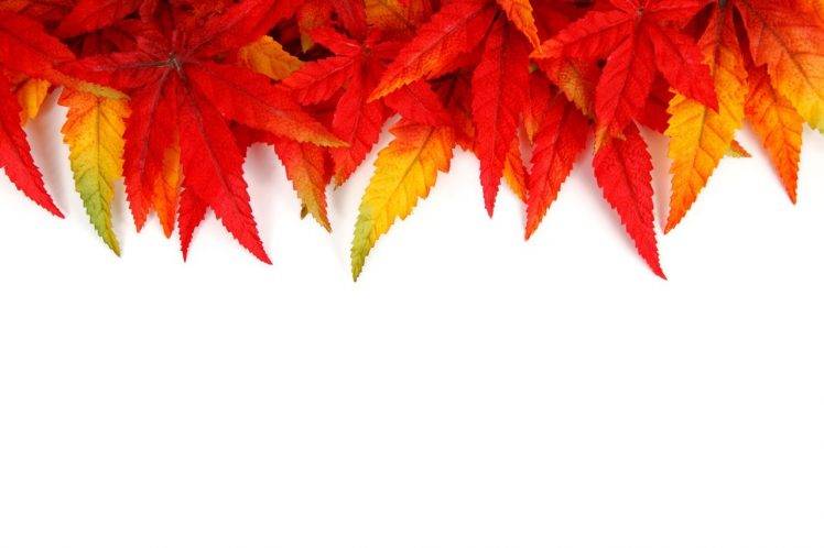 abstract, Fall, Bright, Colorful, Leaves, Nature, Orange, Pattern, Red, Seasons, Texture, Yellow, Green HD Wallpaper Desktop Background