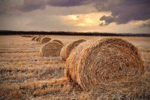 straw, Field, Landscape, Haystacks, Hay, Sunset, Fall, Farm