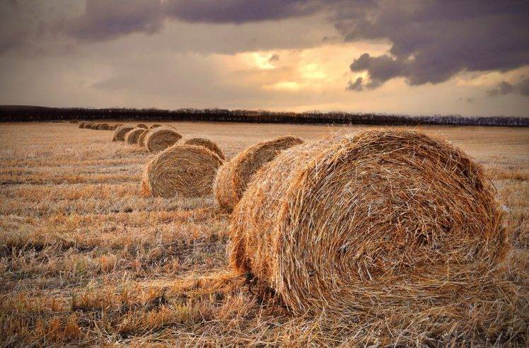 straw, Field, Landscape, Haystacks, Hay, Sunset, Fall, Farm HD Wallpaper Desktop Background