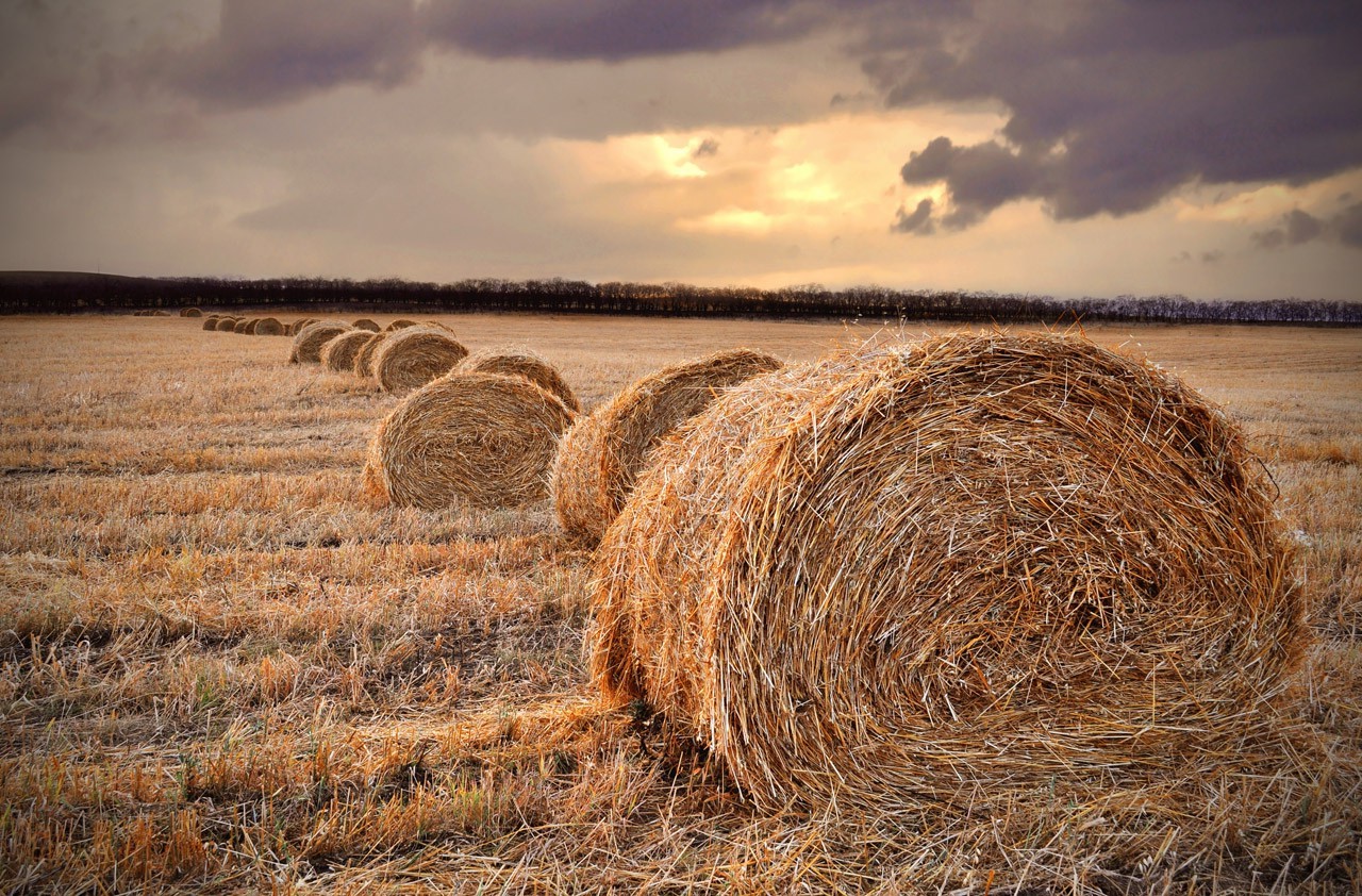 straw, Field, Landscape, Haystacks, Hay, Sunset, Fall, Farm Wallpaper