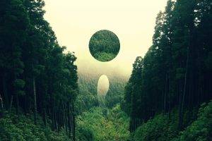 forest, Landscape, Nature, Abstract, Digital Art, Circle