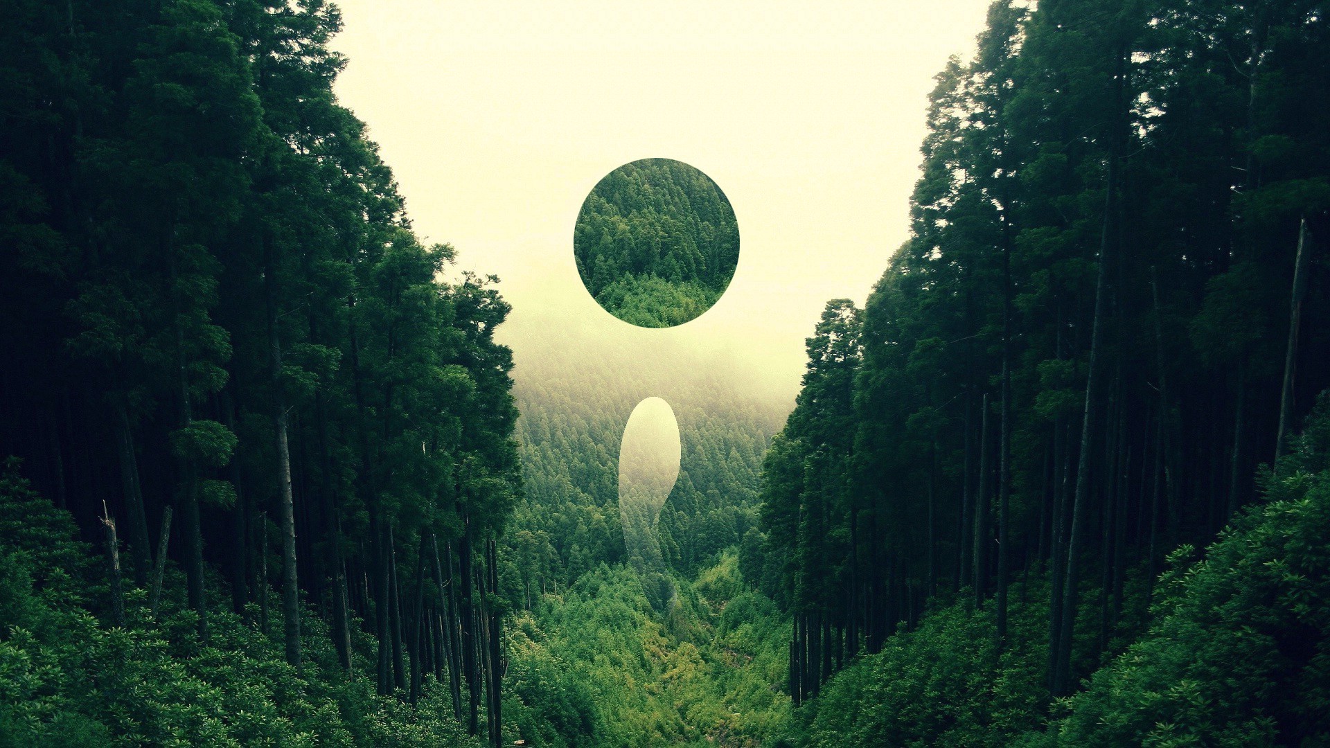 forest, Landscape, Nature, Abstract, Digital Art, Circle Wallpapers HD / Desktop and Mobile