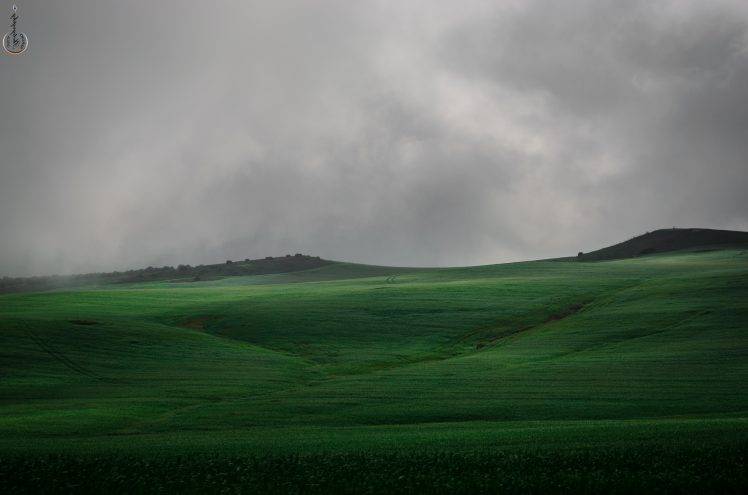 green, Campo, Niebla, Mist, Sky, Nature, Brume HD Wallpaper Desktop Background