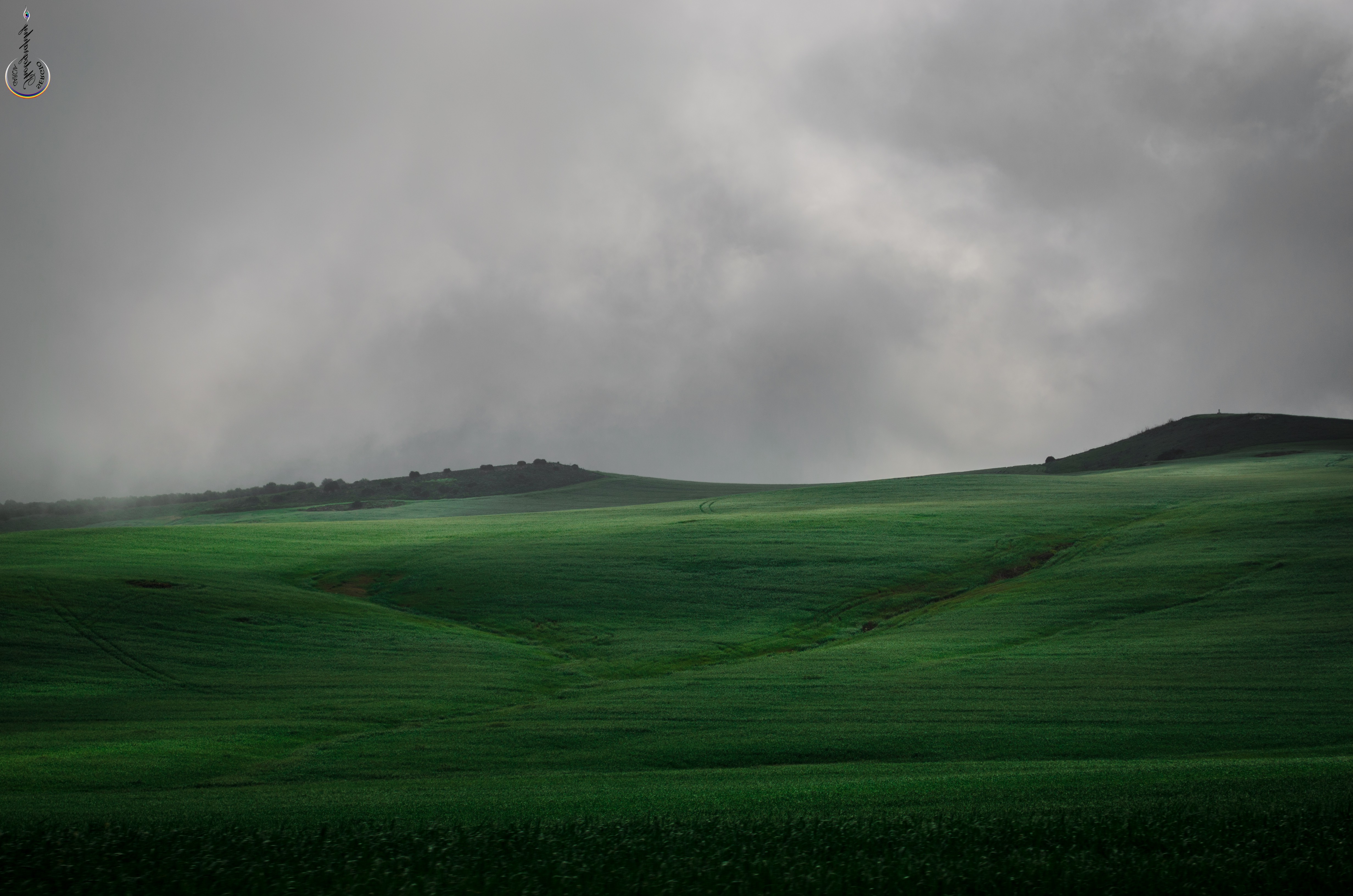green, Campo, Niebla, Mist, Sky, Nature, Brume Wallpaper