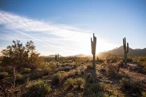 nature, Landscape, Arizona, USA
