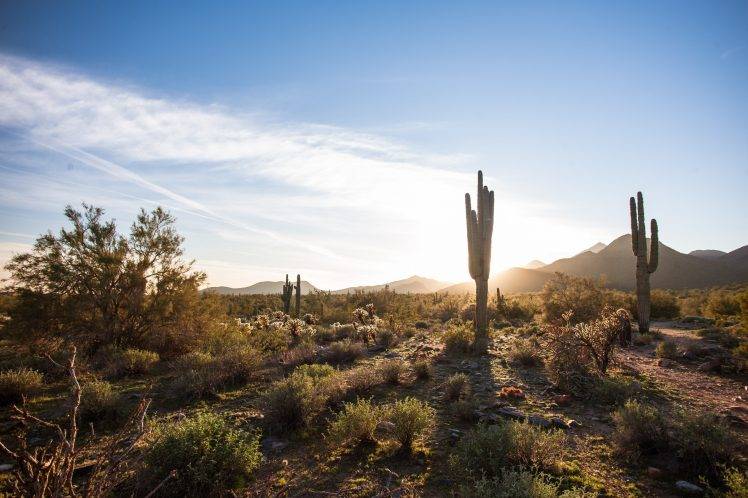 nature, Landscape, Arizona, USA HD Wallpaper Desktop Background